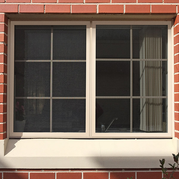 Double Sliding Security Window