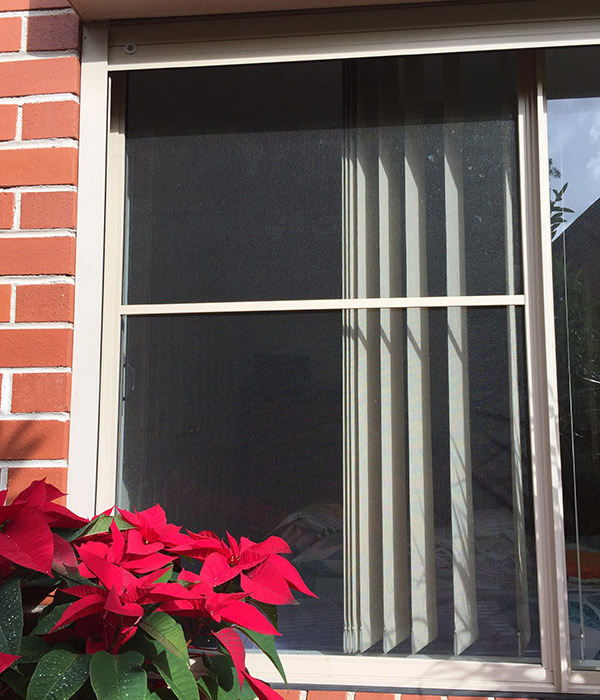 Flyscreen Window
