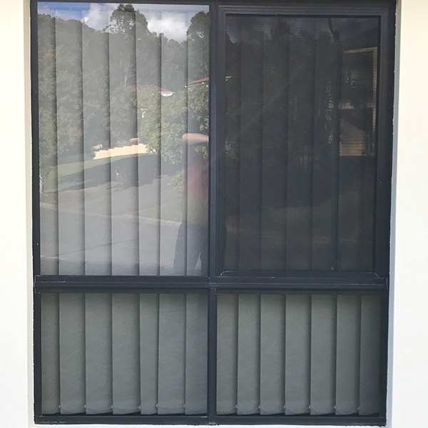 BasiX Window
